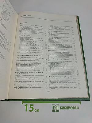 Водоросли. Лишайники