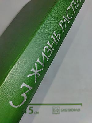 Водоросли. Лишайники