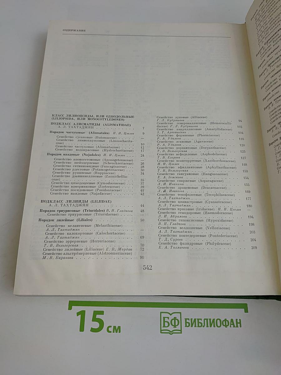 Цветковые растения