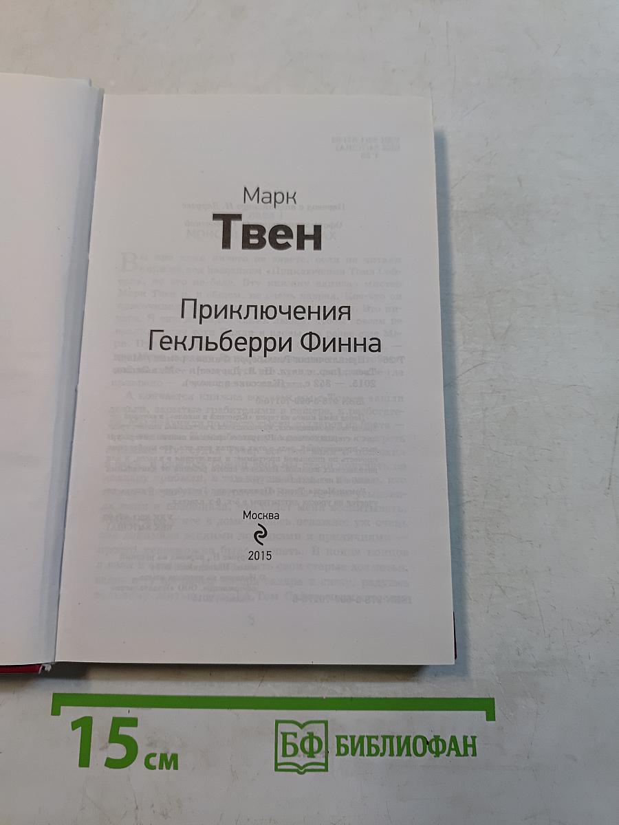 Приключения Гекльберри Финна
