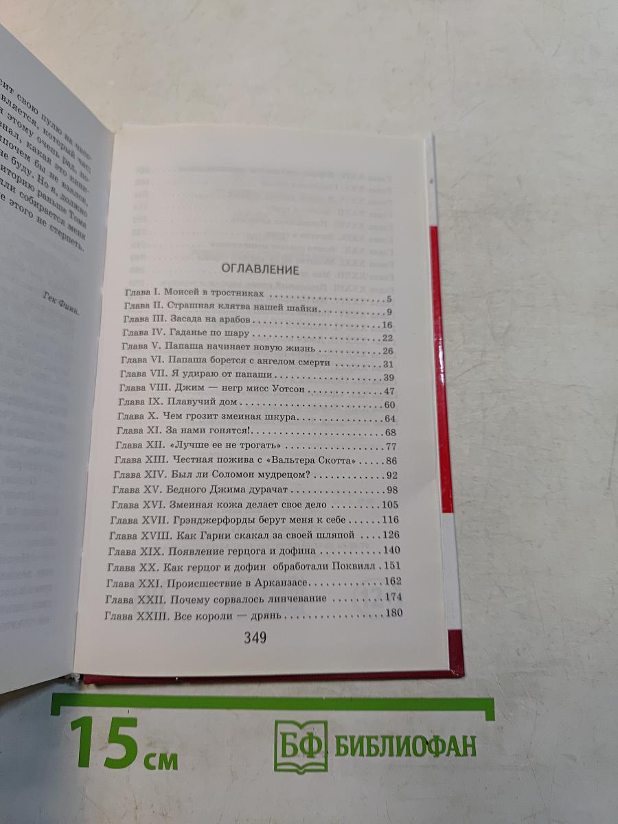 Приключения Гекльберри Финна