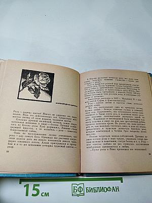 Лечебница на подоконнике