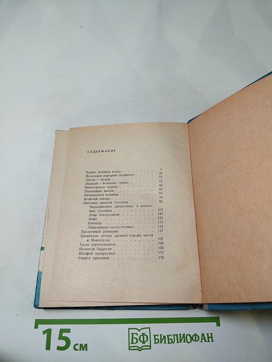 Лечебница на подоконнике