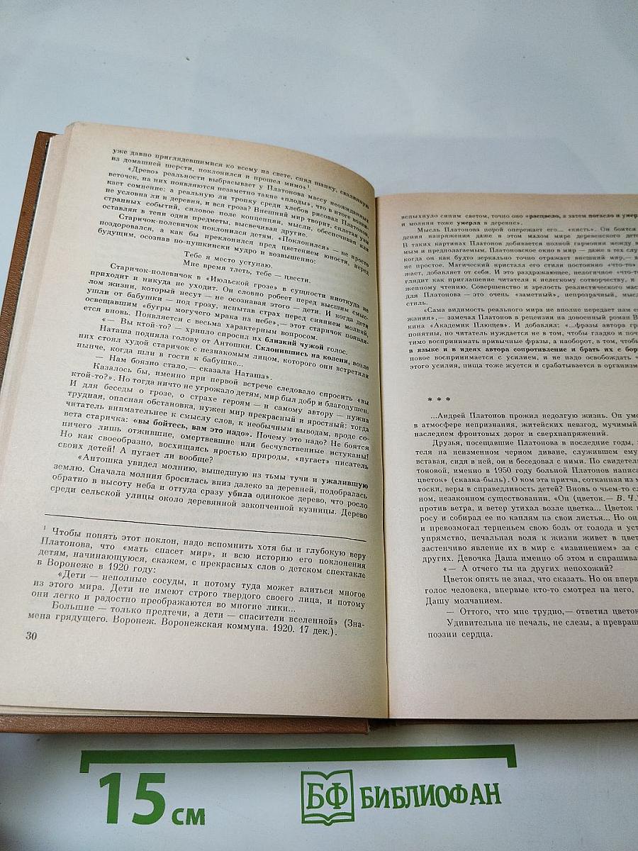 Государственный житель. Проза. Ранние сочинения. Письма