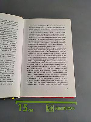 Дневник стюардессы