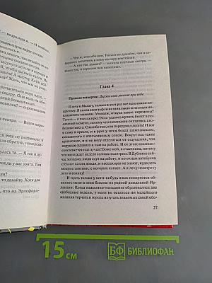 Дневник стюардессы