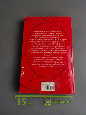 Дневник стюардессы
