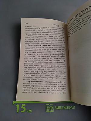 Кореллы