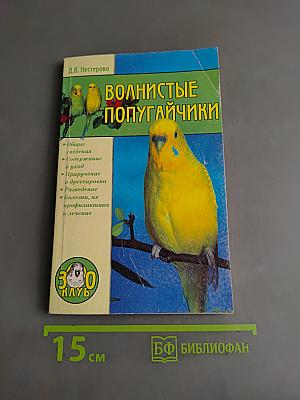 Волнистые попугайчики