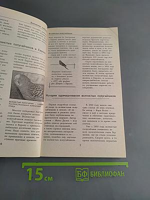 Волнистые попугайчики