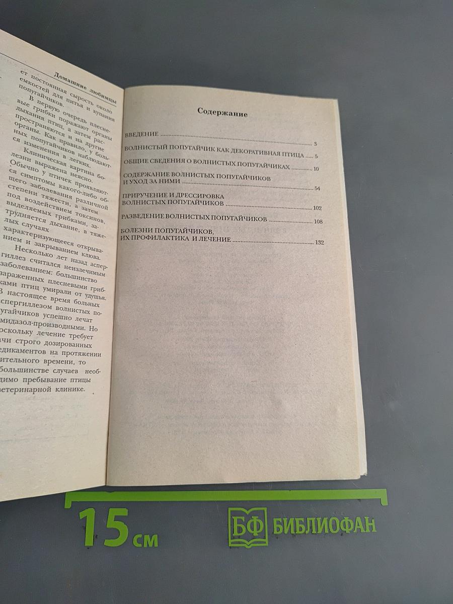 Волнистые попугайчики