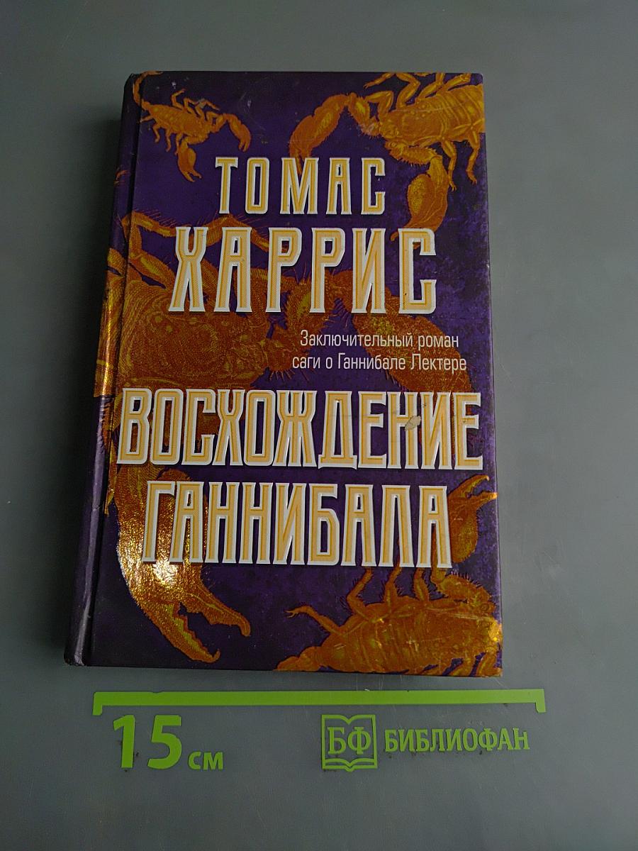 Восхождение Ганнибала