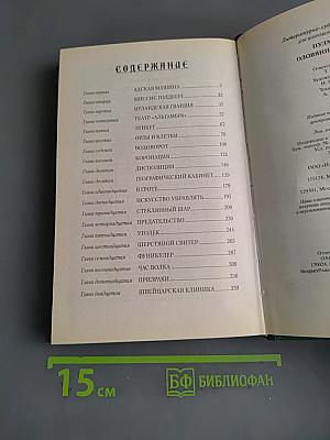 Оловянная принцесса