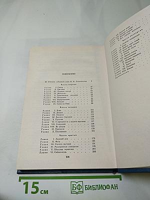 Ледяной дом