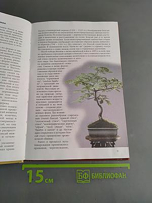 Бонсай