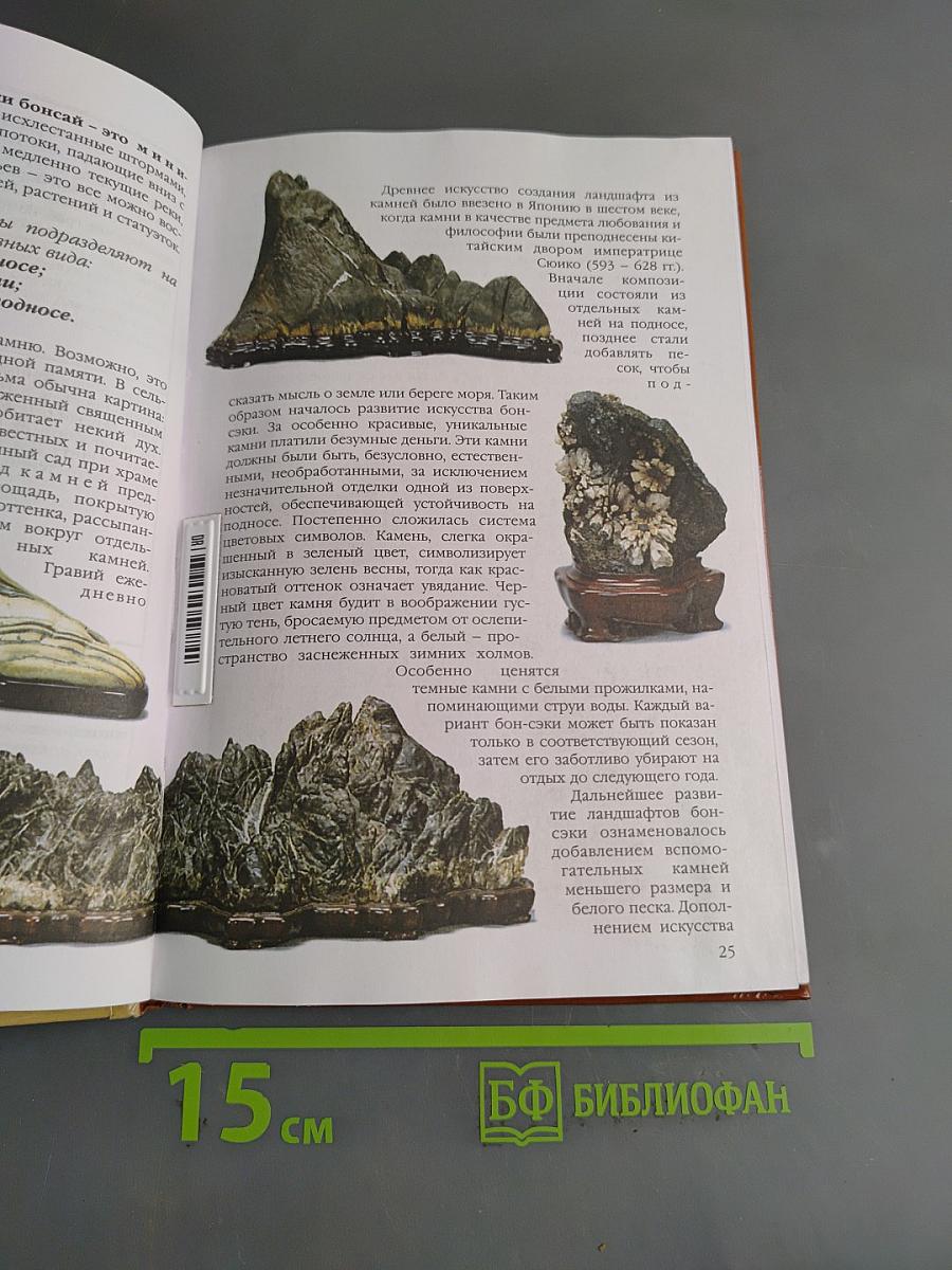 Бонсай