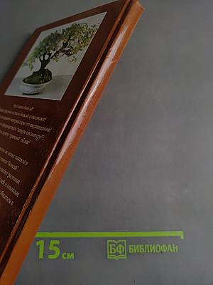 Бонсай