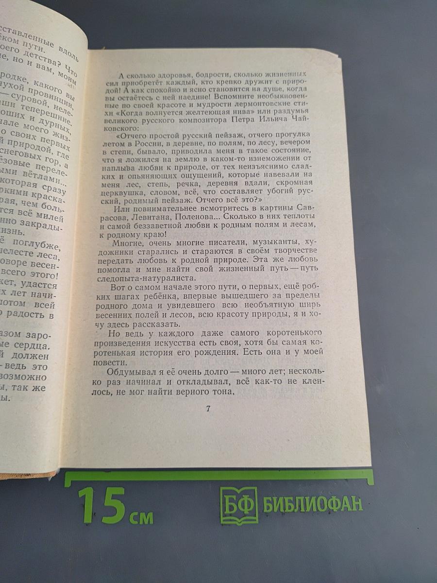 От первых проталин до первой грозы