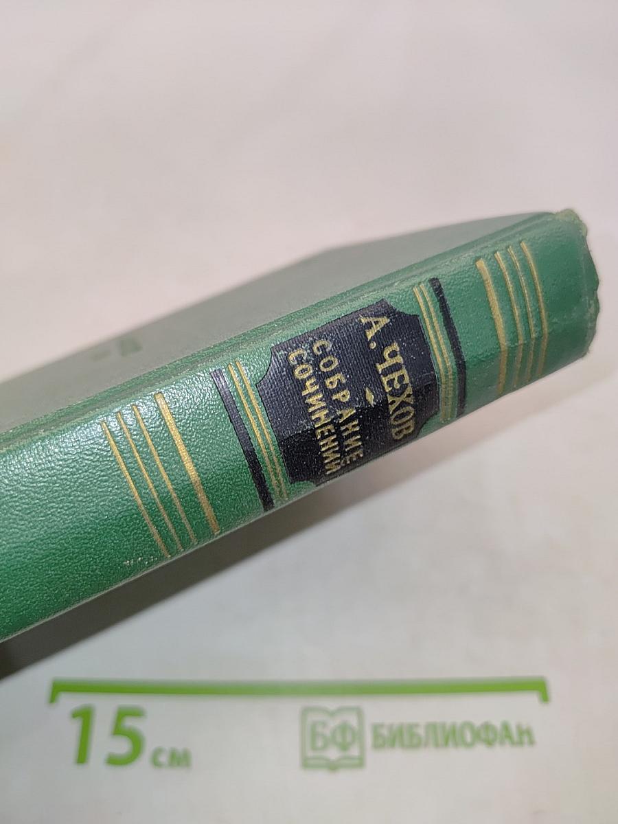 Собрание сочинений. Том второй. Рассказы 1883-1884