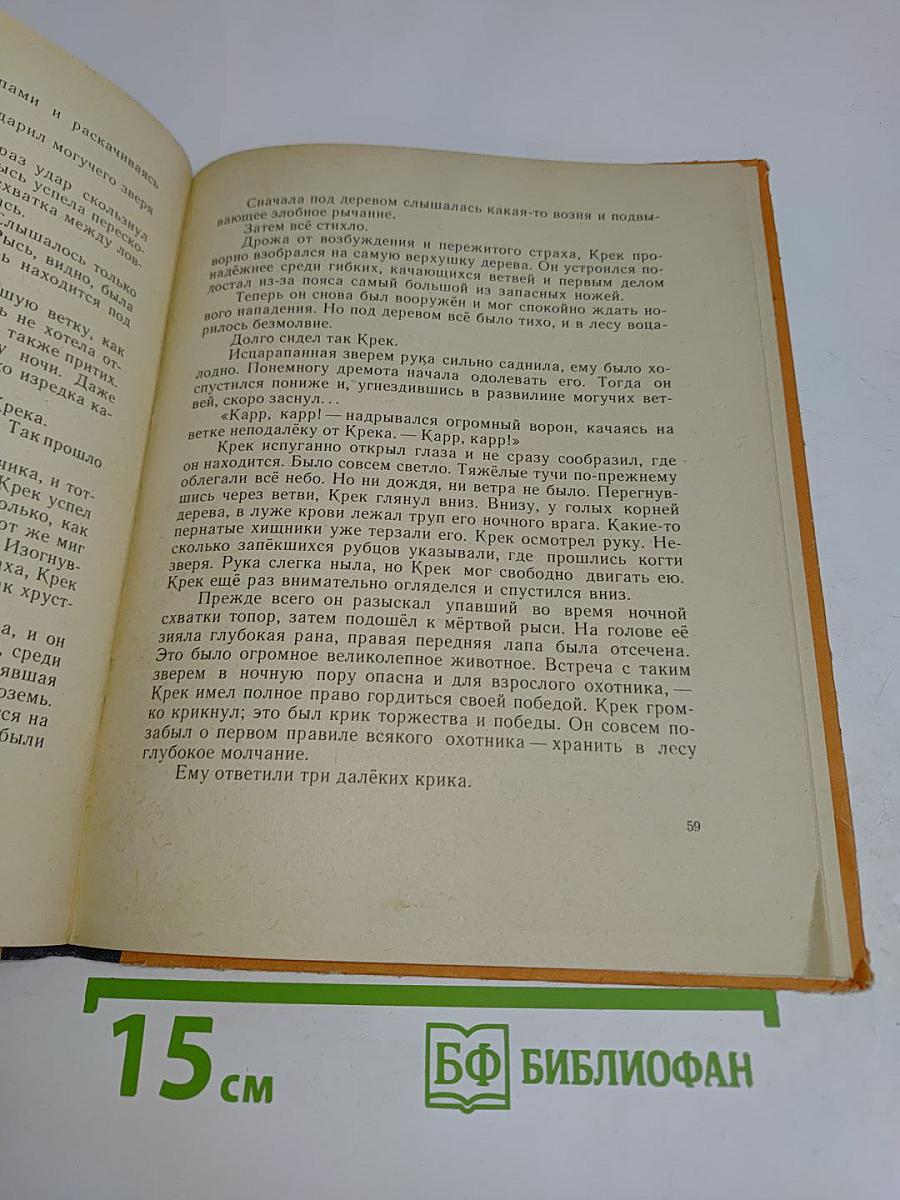 Приключения доисторического мальчика