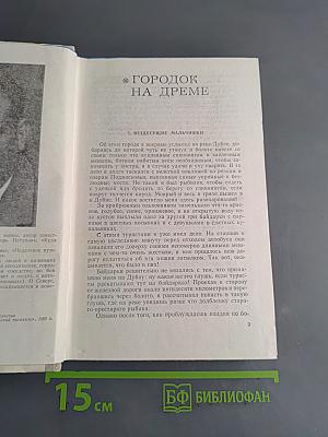 Городок на Дреме