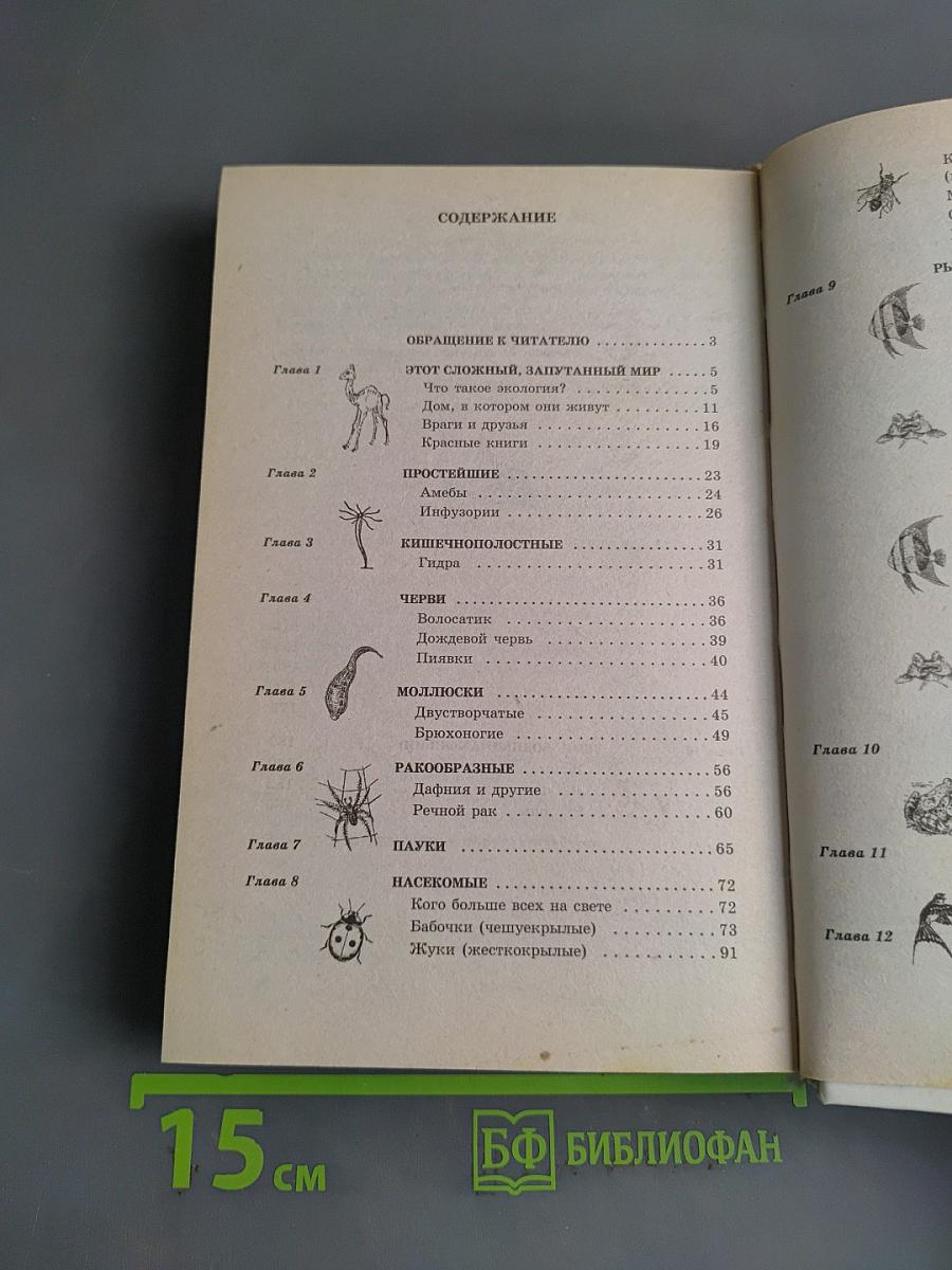 Популярная энциклопедия животных