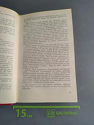 Второе дыхание