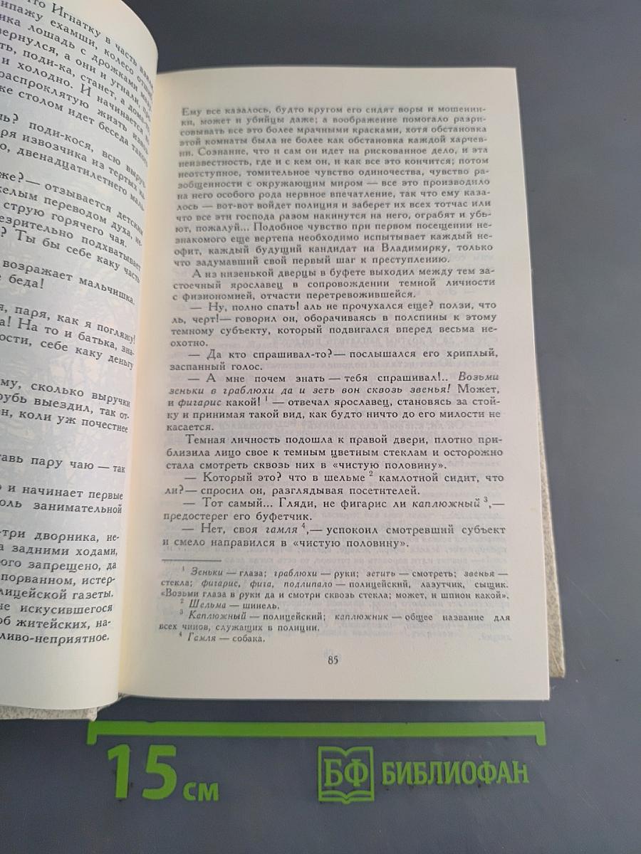 Петербургские трущобы (Книга о сытых и голодных)