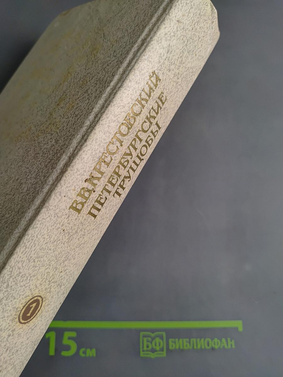 Петербургские трущобы (Книга о сытых и голодных)