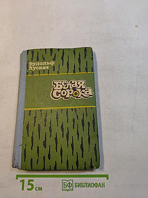 Белая сорока