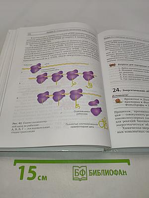Биология. Общие закономерности. 9 класс