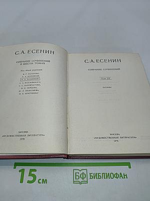 Собрание сочинений в шести томах. Том III. Поэмы (1921-1925)