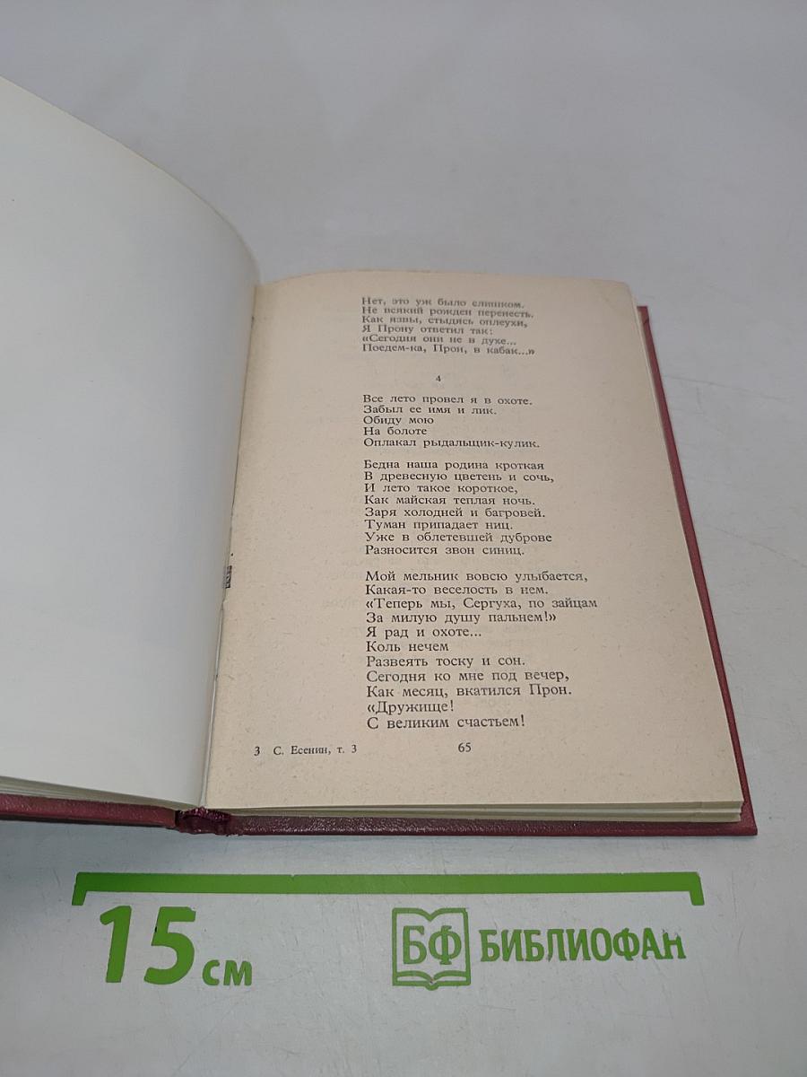 Собрание сочинений в шести томах. Том III. Поэмы (1921-1925)