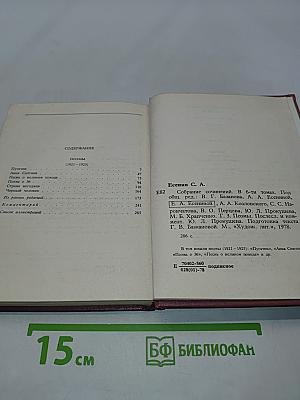 Собрание сочинений в шести томах. Том III. Поэмы (1921-1925)