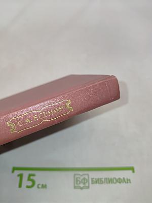 Собрание сочинений в шести томах. Том III. Поэмы (1921-1925)