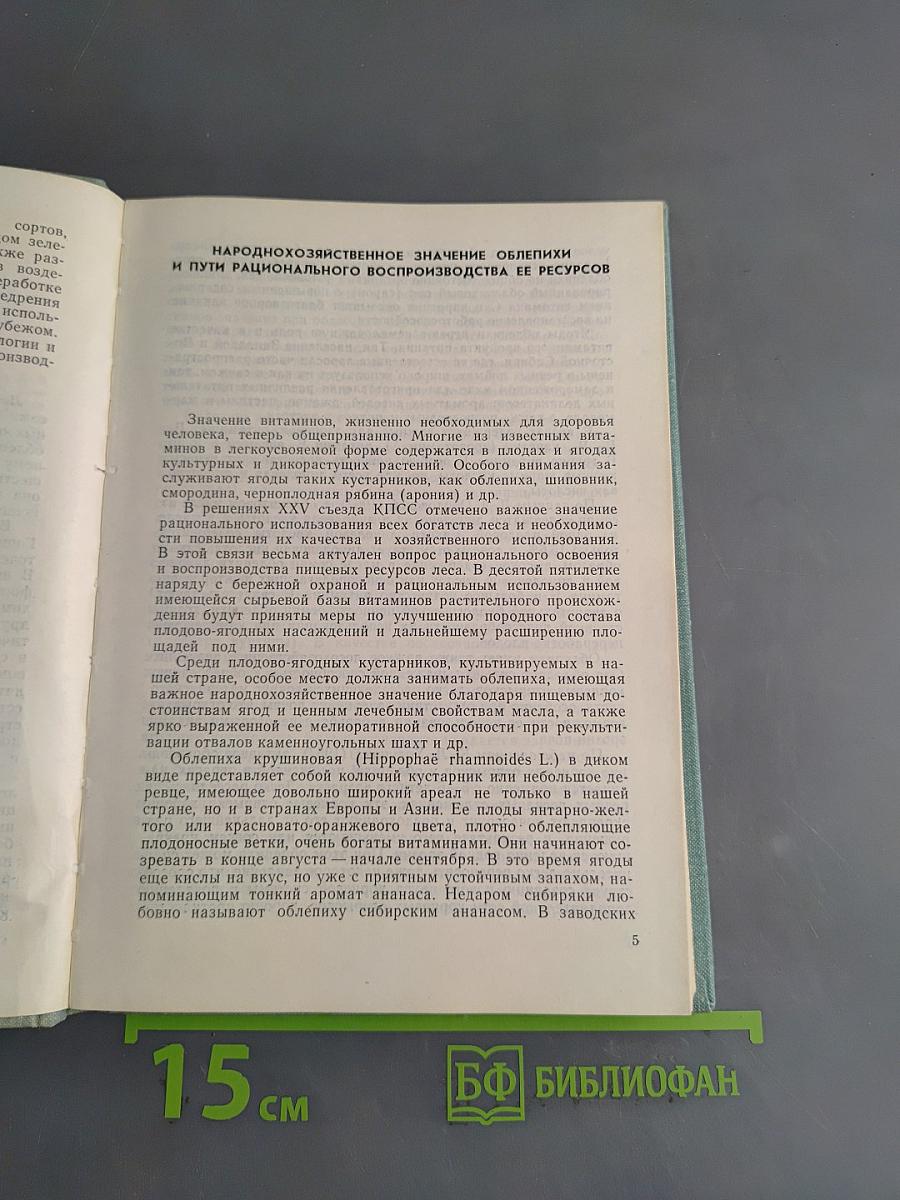 Облепиха