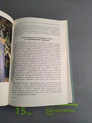 Облепиха