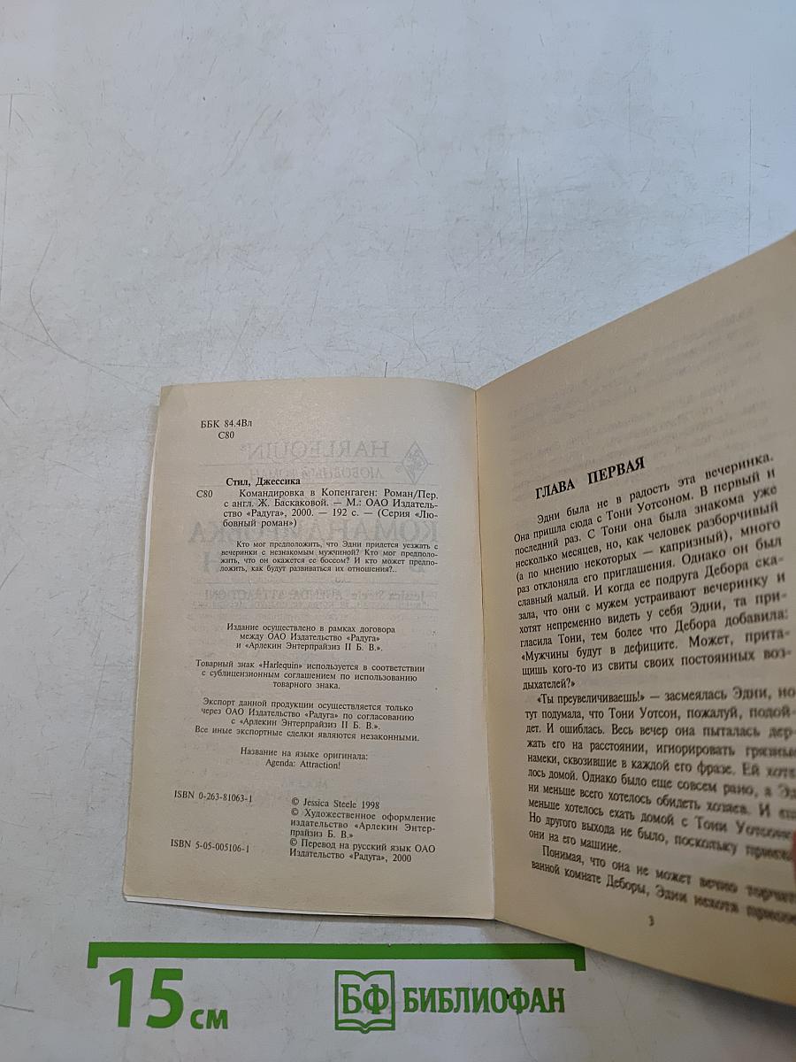 Командировка в Копенгаген