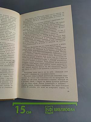 В пустыню пришла весна