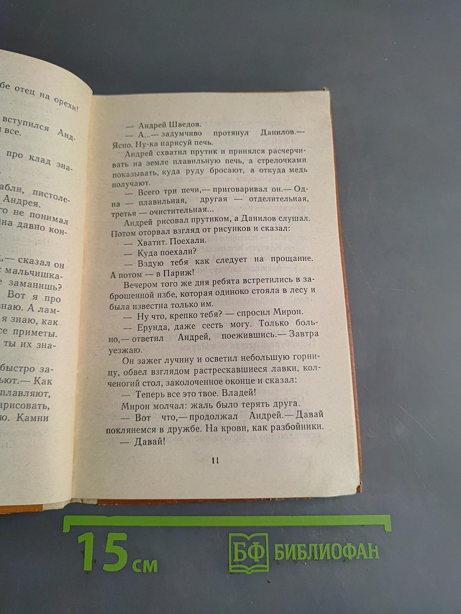 Пароходный дилижанс