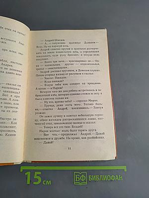 Пароходный дилижанс