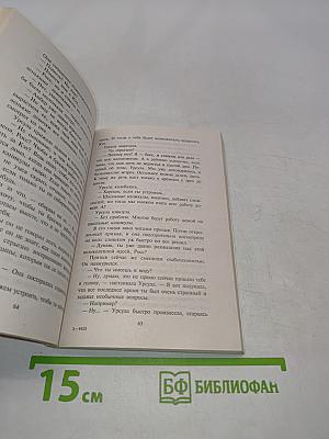 День сбывшейся мечты