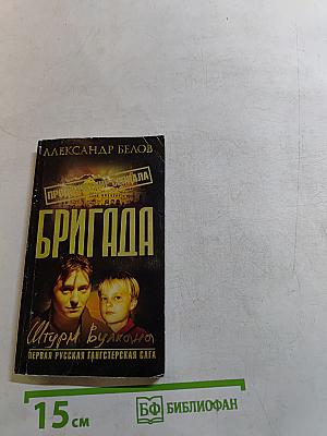 Бригада. Штурм вулкана. Книга 12