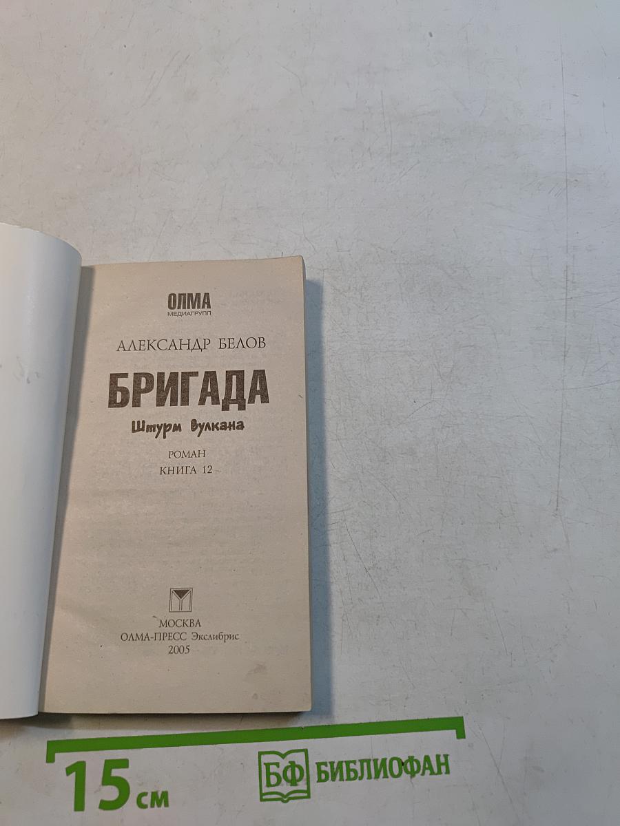 Бригада. Штурм вулкана. Книга 12