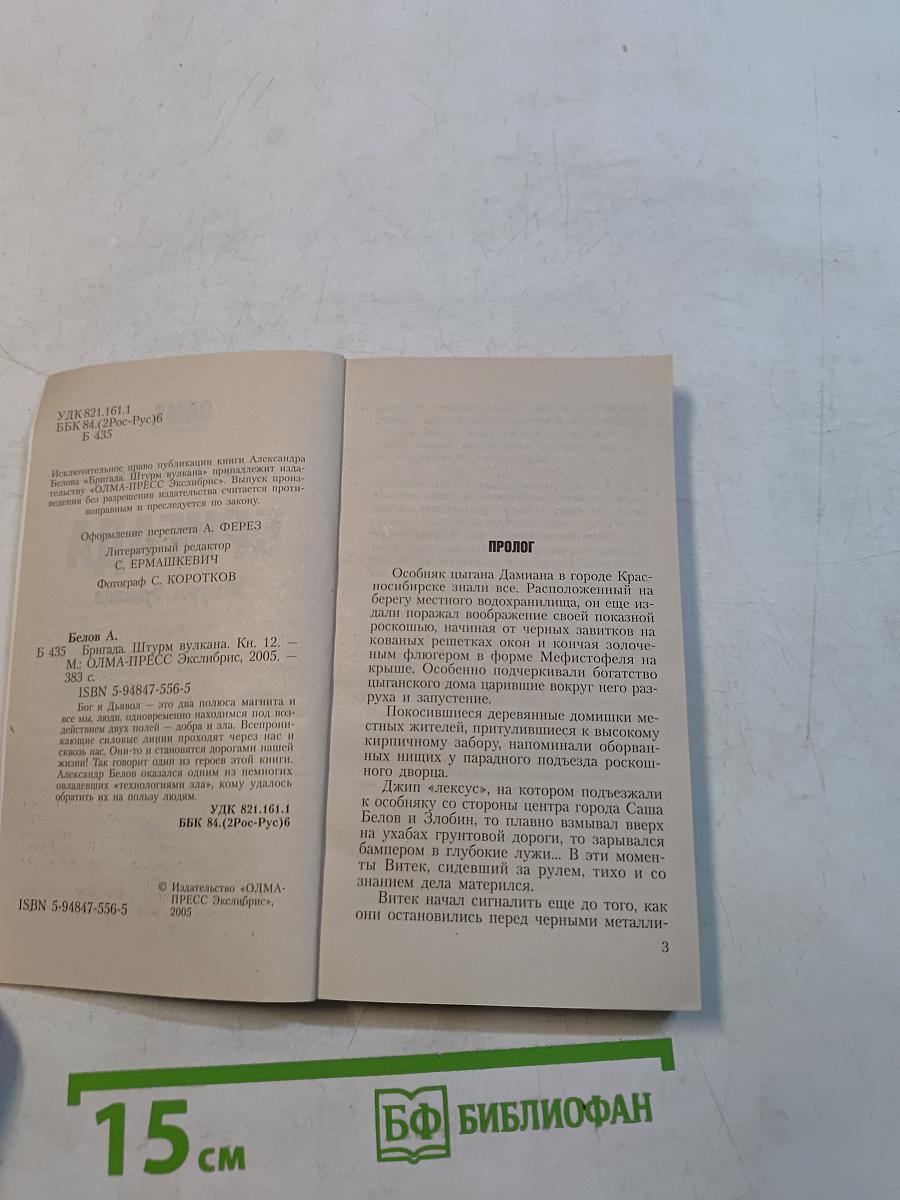 Бригада. Штурм вулкана. Книга 12