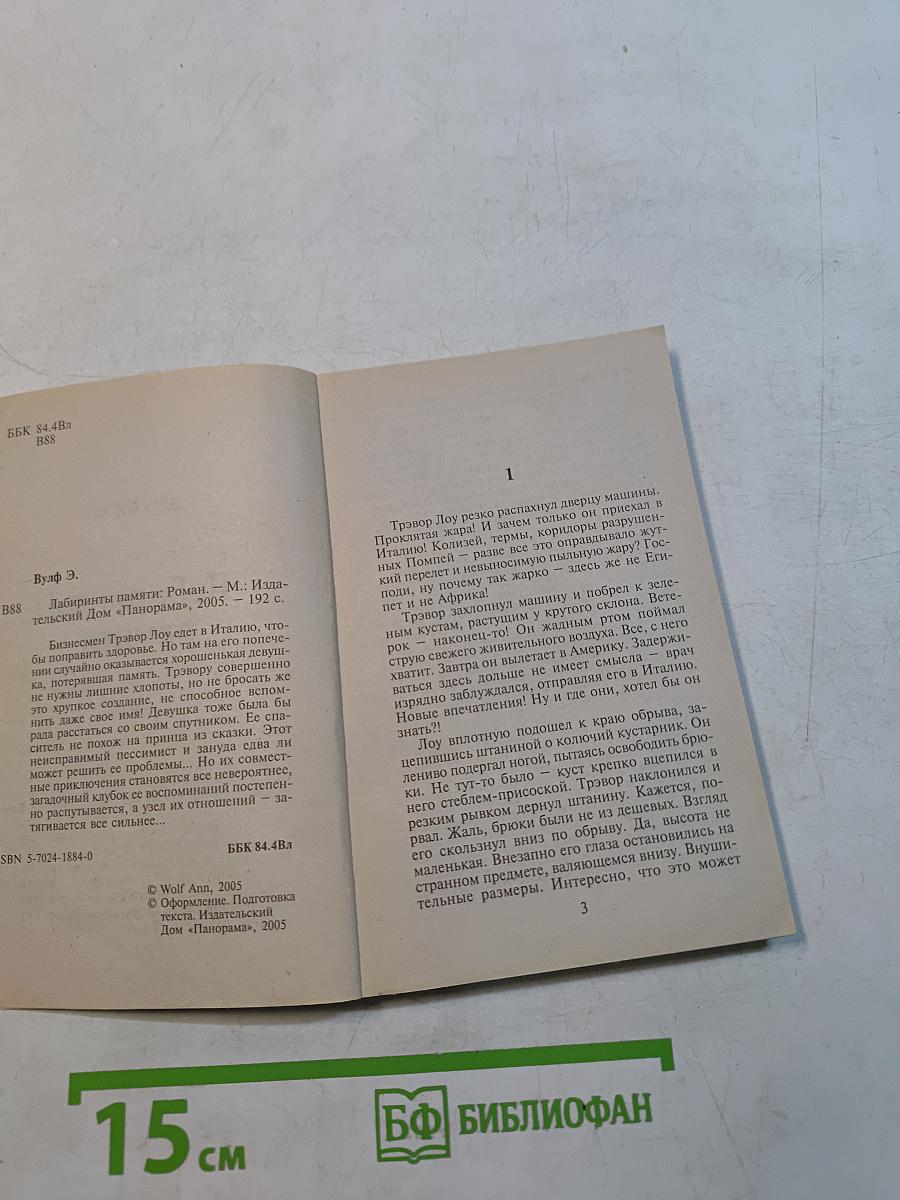 Лабиринты памяти