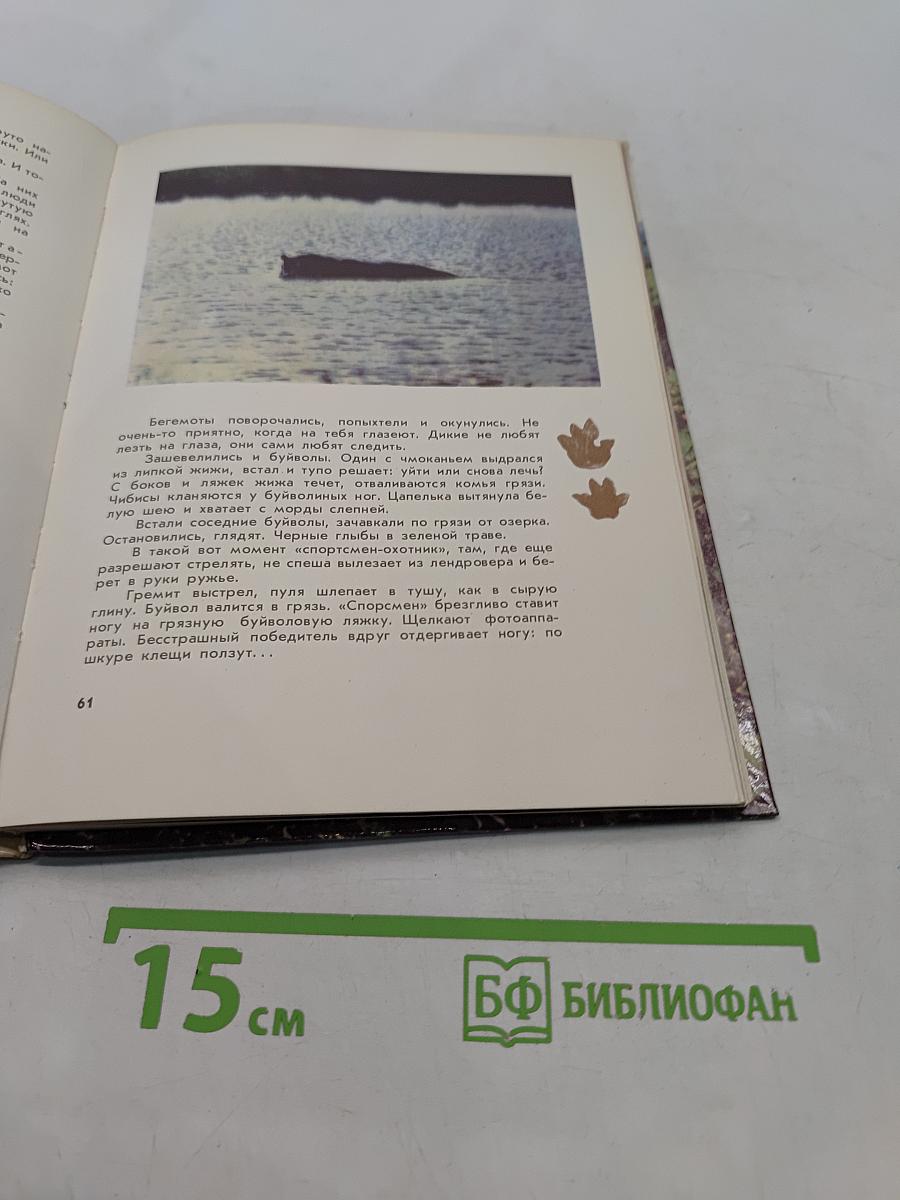 Миомбо