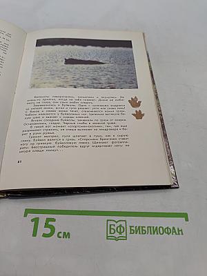 Миомбо