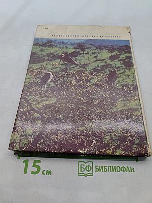 Миомбо