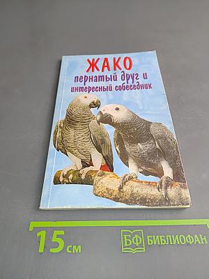 Жако – пернатый друг человека и интересный собеседник
